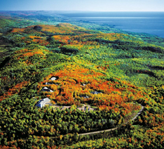 Wolf Ridge